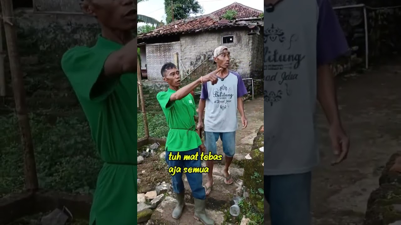 Aki aki suker ketemu aku aki licik