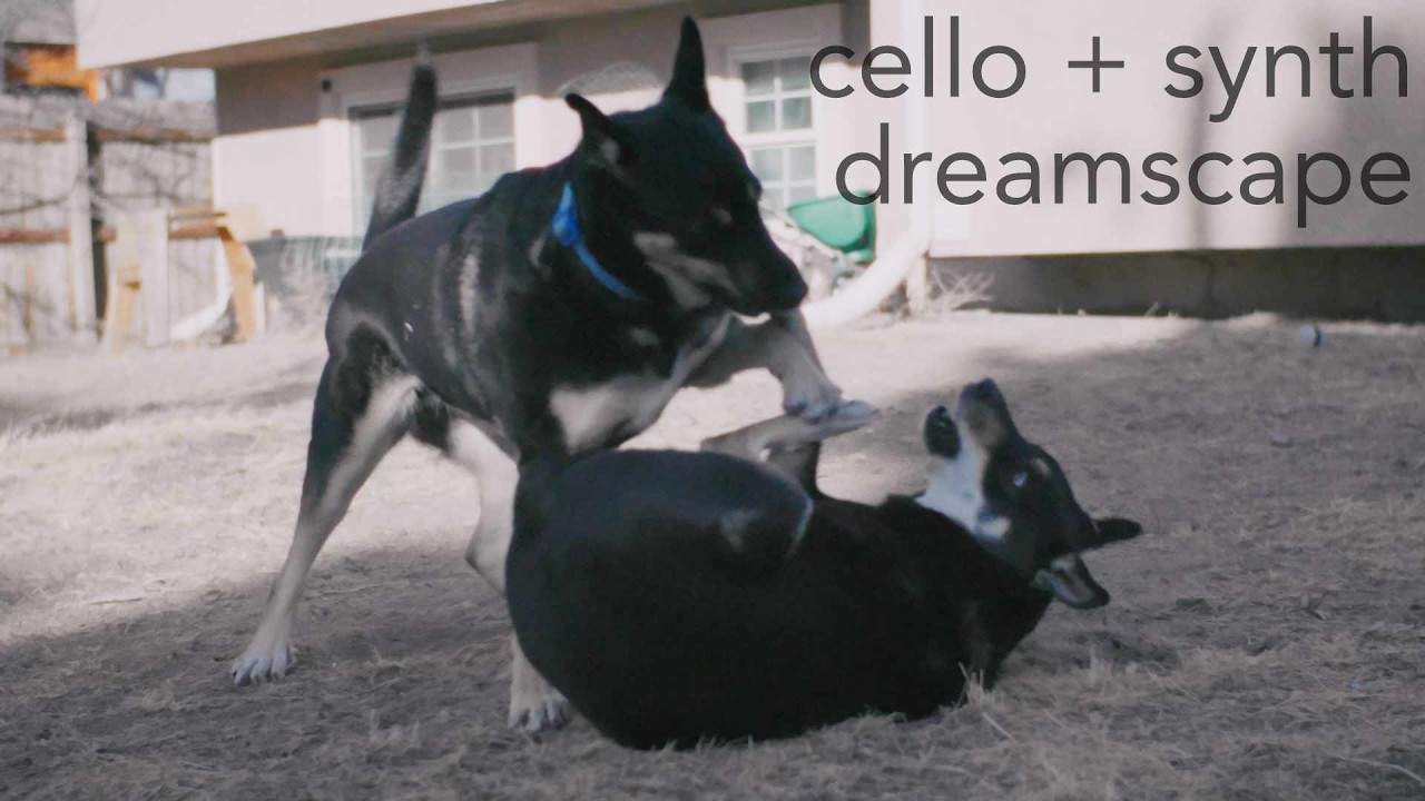 (synth + cello for dreaming) simple joy is best joy [ambient, non-ai]