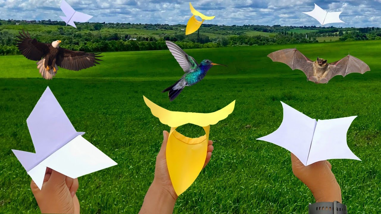 best 3 paper bird plane, flying new bird plane, make different types of bird, paper flying bird,