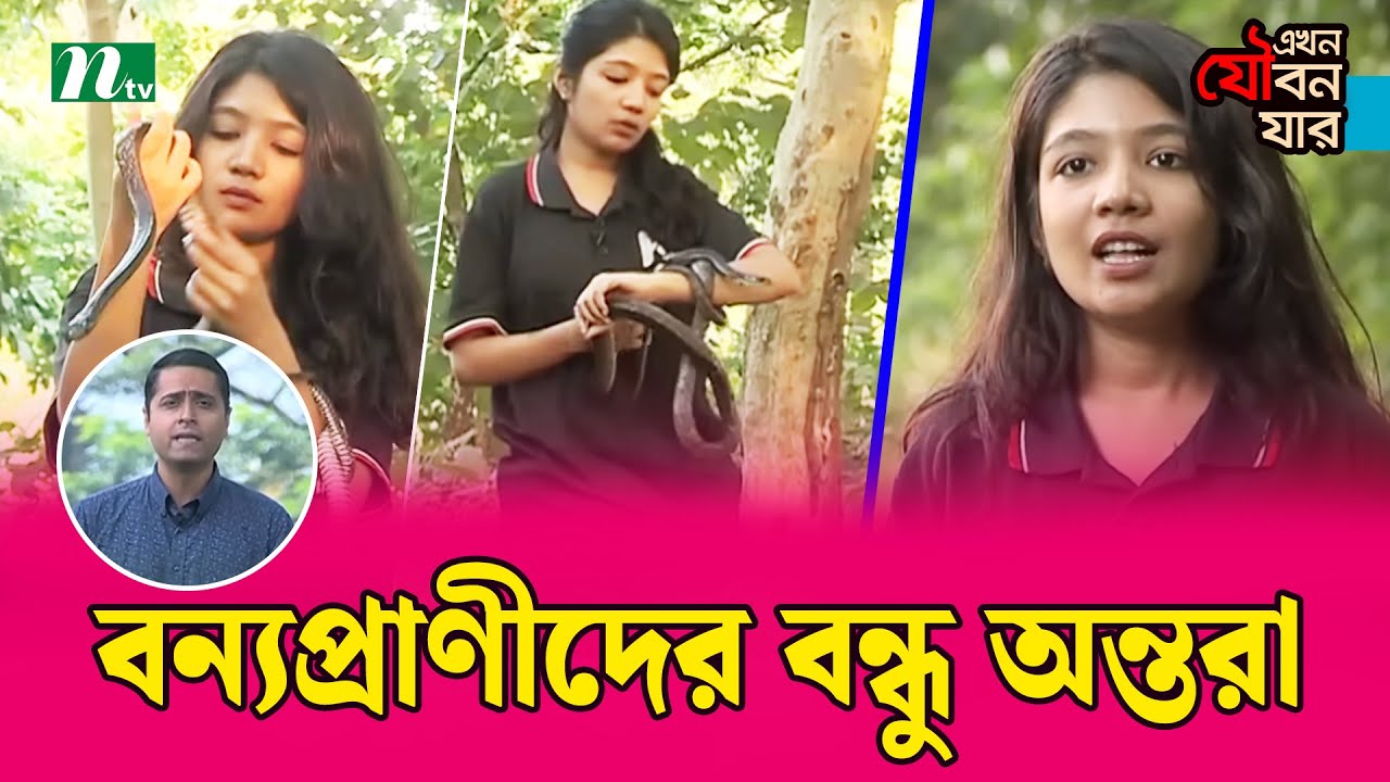 🔴বন্যপ্রাণীদের বন্ধু যখন একজন অন্তরা | NTV News