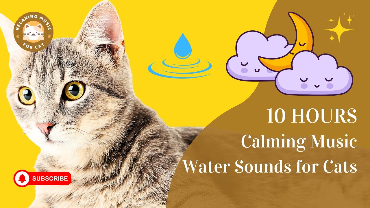 Calming Music Water Sounds for Cats 10 Hours 🐱😌 Relaxing Music for Cat