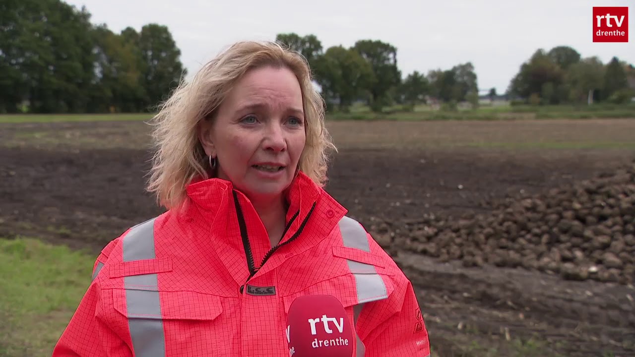 Vrachtwagens vol met suikerbieten: chauffeurs rijden af en aan