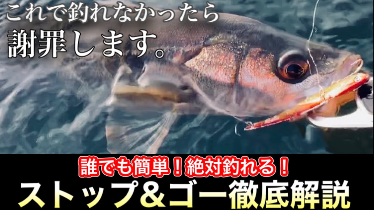これで釣れなかったら謝罪します。　シーバス、マゴチ、ヒラメに効く！必殺ストップアンドゴー！