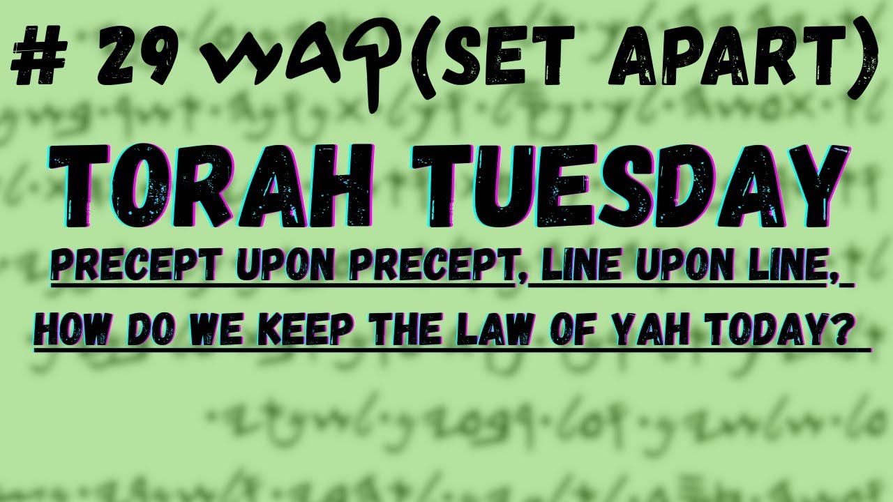 Torah Tuesday #29 Holiness Quadash Leviticus 21-22