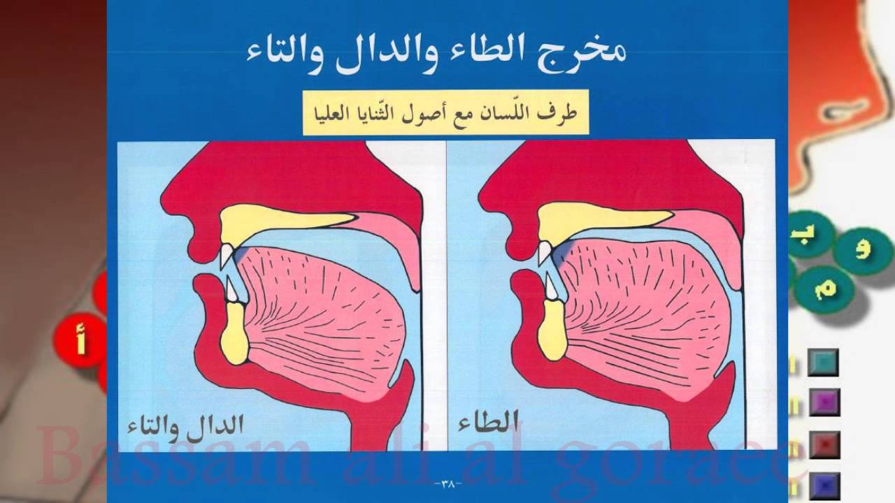 نشيد مخارج الحروف