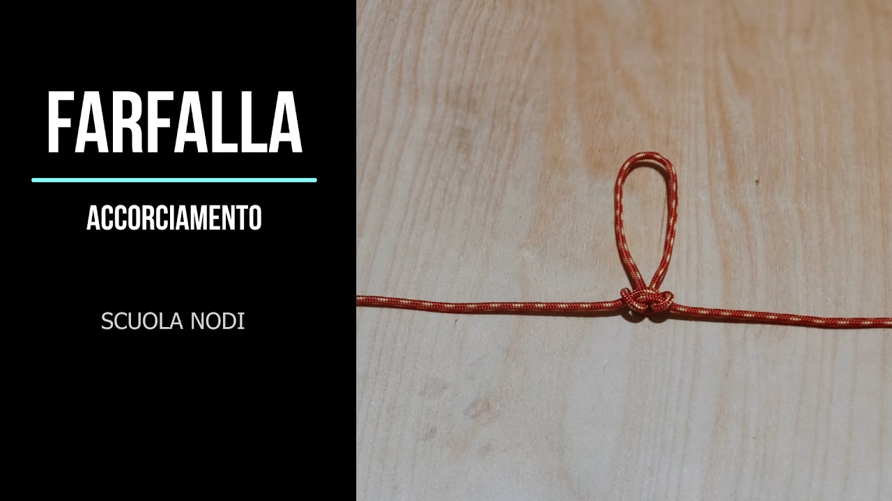 NODO FARFALLA