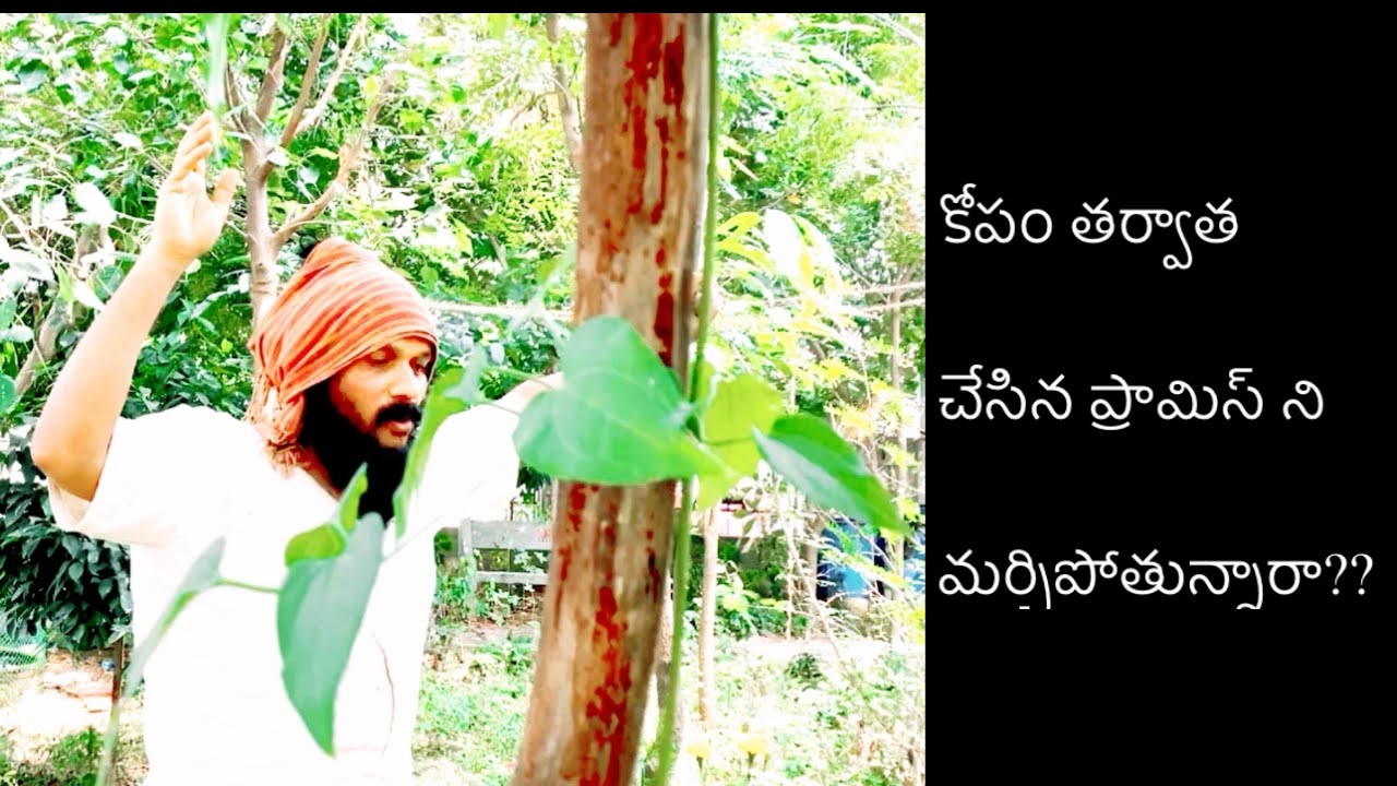 ఆసక్తి,అనాసక్తి కి అతీతంగ పనిచేసే రహస్యం🌹kanthrisa 