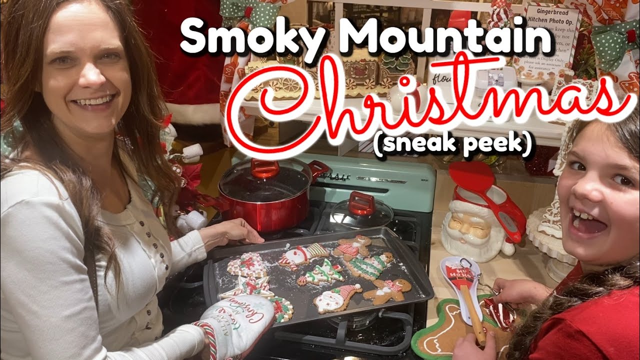 It's Beginning to Look a Lot Like Christmas in the Smokies! 🎄Road Trip and Chicken Pot Pie Soup