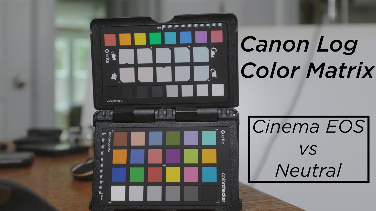 Which Canon Log Color Matrix Should You Use? 1DX III | R5/R6