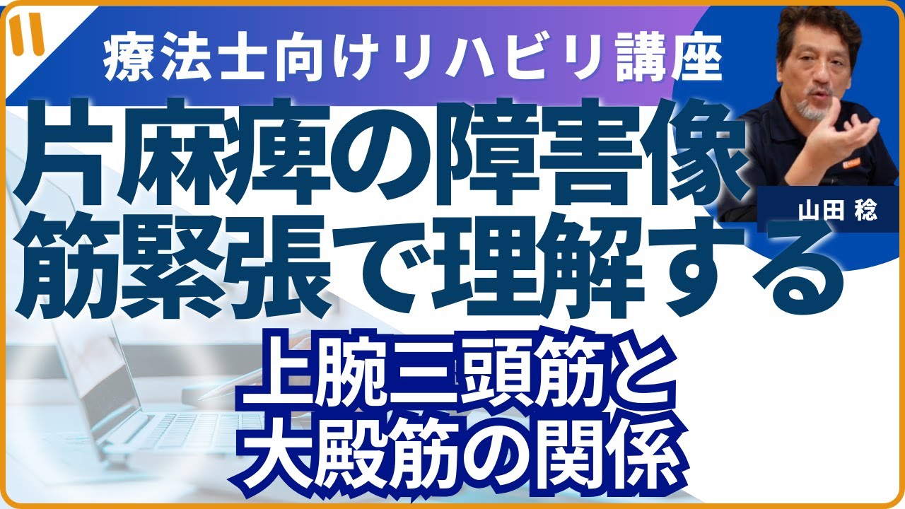 片麻痺者の障害像を筋緊張で理解する②　「上腕三頭筋と大殿筋の関係を解説」