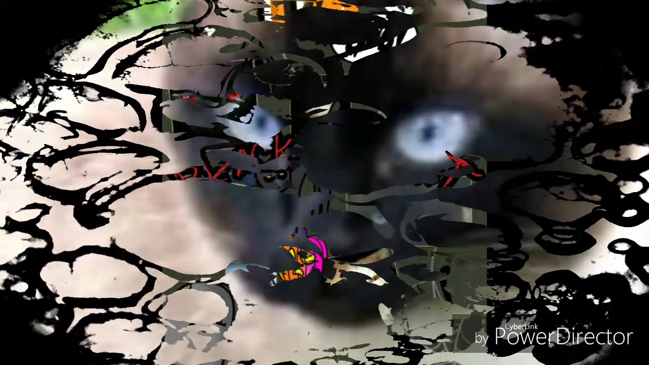Black Hat Cat (Original Video) 🐱🎃