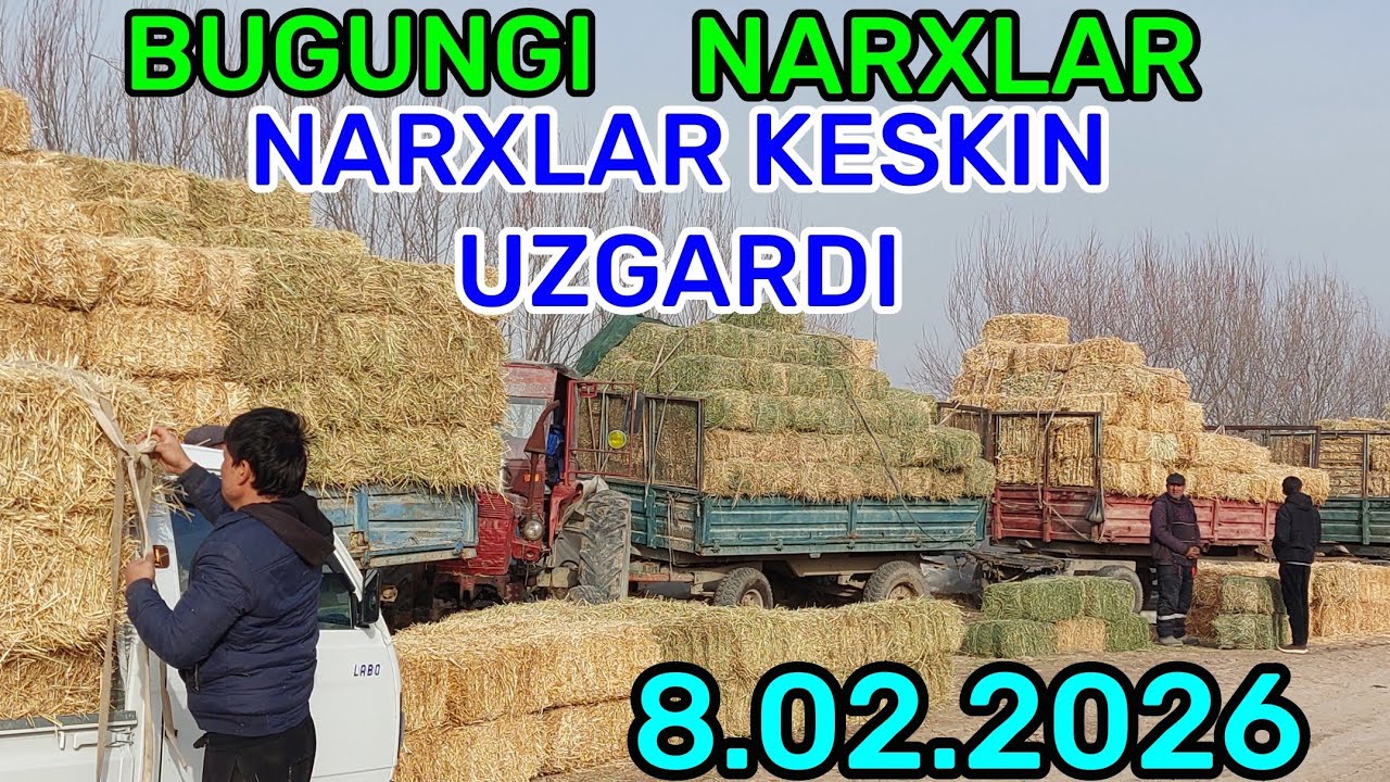 8.02.2026 EM XASHAK SOMON BEDA PRESS NARXLARI QARSHI KARVON MOL BOZORIDA 