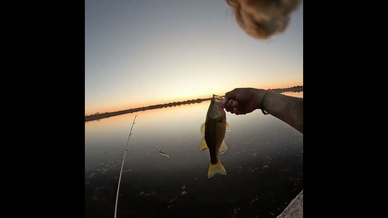 1st Episode of Pond Hoppa fishing. 