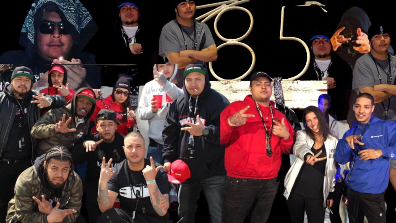 STRAIGHT OUTTA YONKERS: The Oldest Rap Collective aka SapOnly Records⬛ #EditedByMalakai