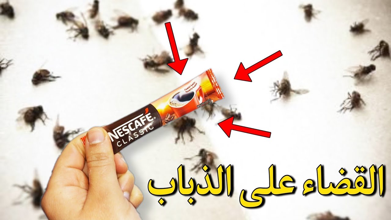 لن تبقى ذبابة واحدة في بيتك❌مكنسة كهربائية ب0درهم😱حيل منزلية