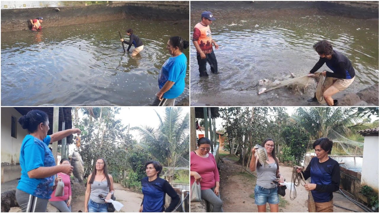 PESCARIA DE REDUXO E IMPROVISO COM TARRAFA PARA PEGAR PEIXES QUE SER&Atilde;O VENDIDOS EM RAINHA ISABEL 