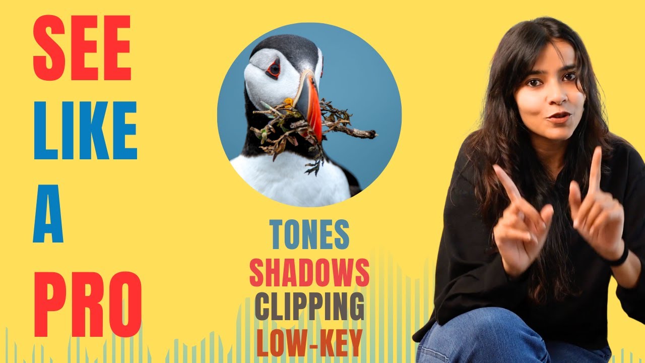 From Beginner to PRO: See TONES, Not Just Bright or Dark