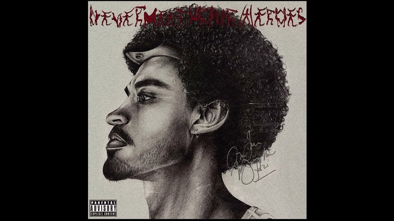 Shane Eagle - Never Meet Your Heroes (Full Album Mix)