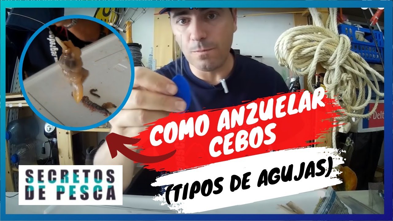 ✅️ Como anzuelar cebos (tipo de agujas).