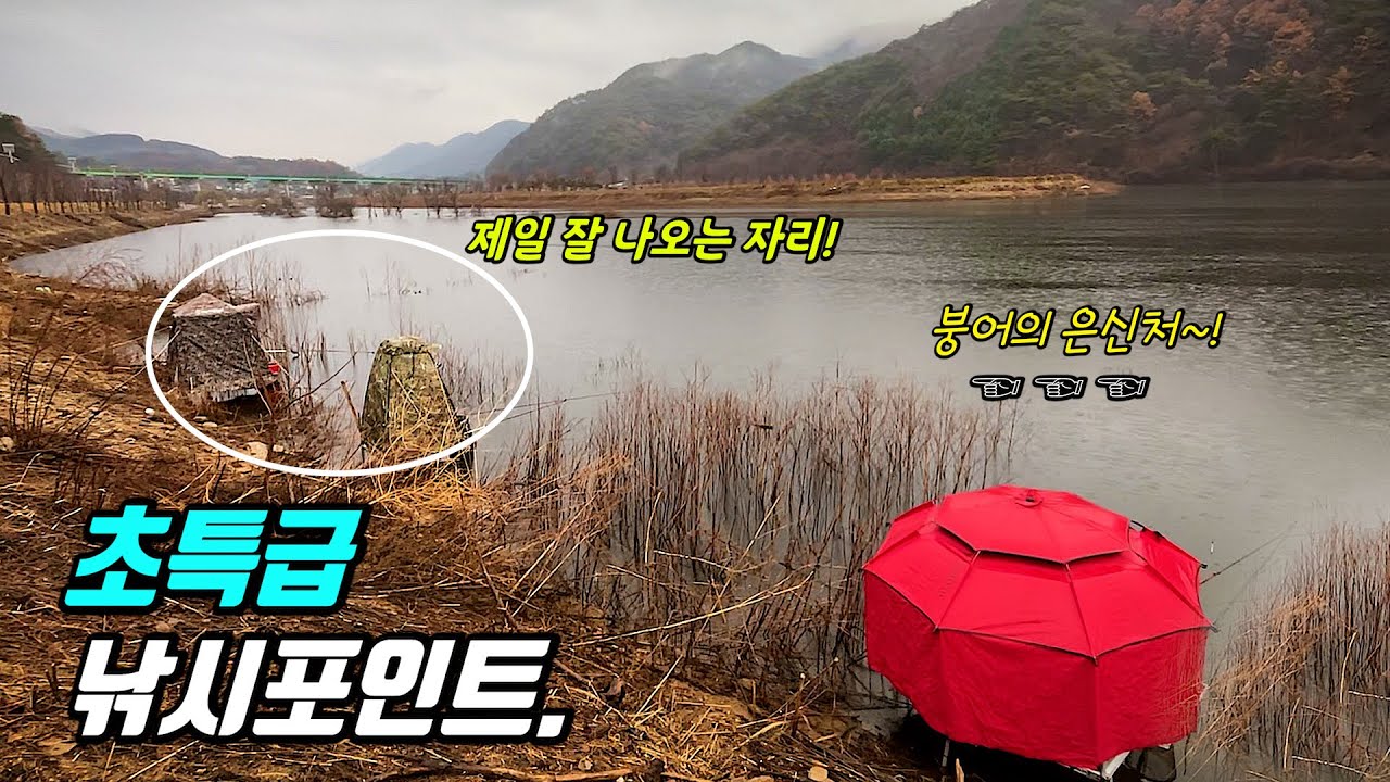 수초와 나무로 둘러쌓인 초특급 붕어낚시 포인트에서.