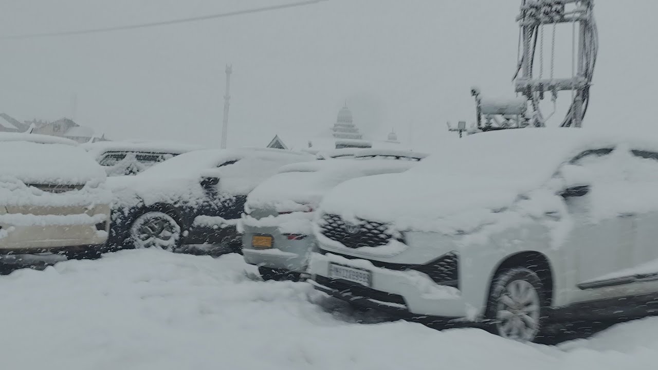Heavy Snowfall & Snow Avalanches at Sonamarg Zojila Pass Latest update #zojilaupdate 28 Feb. 2025