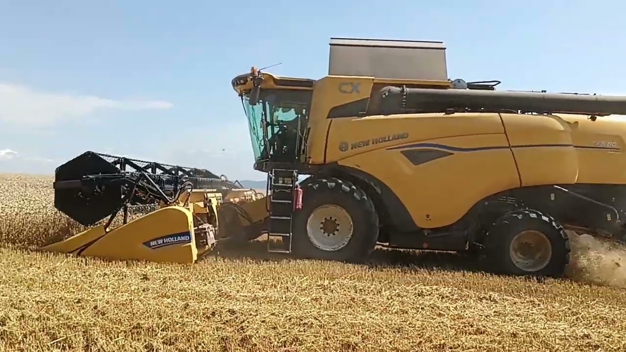 Žatva 2024 Pšenica NEW HOLLAND CX 8.80 3.časť