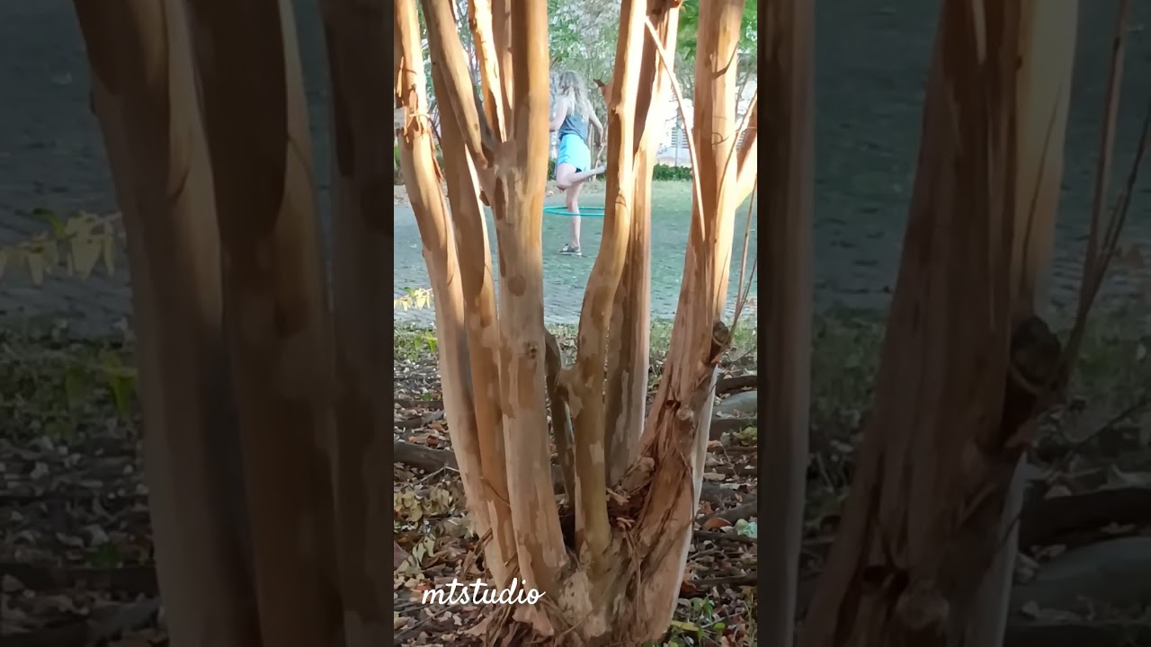 HULA HOOPS #shortvideo #hulahoop
