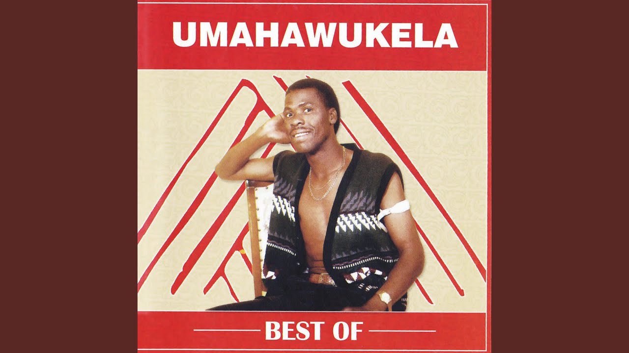 Igazi Elibi