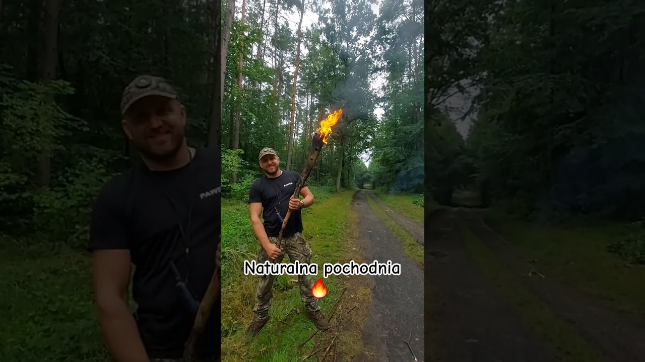 Naturalna leśna pochodnia.