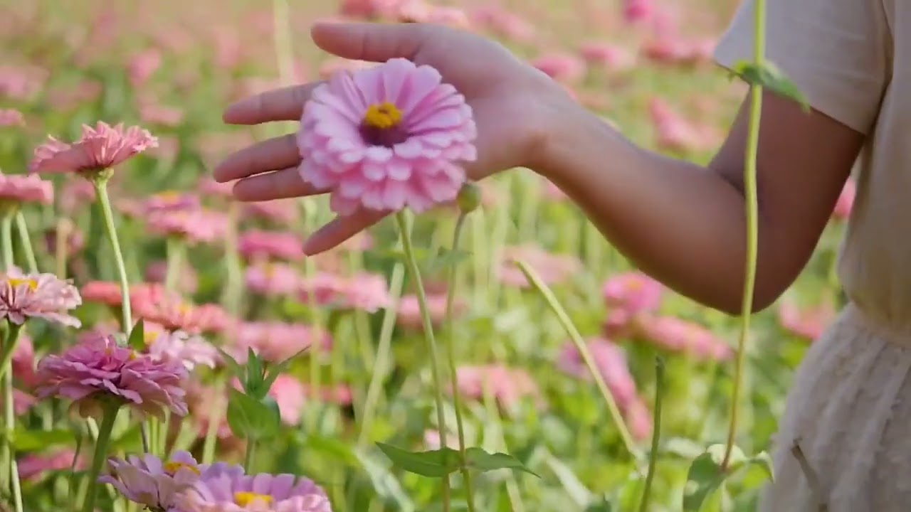 Relax music video | cinematic video |#relaxing #relax #cinematic