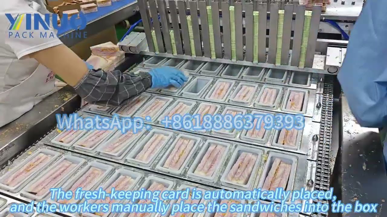 Sandwich Sealing Machine  Automatic Cup Sealing Machine for Food Factory Production Line