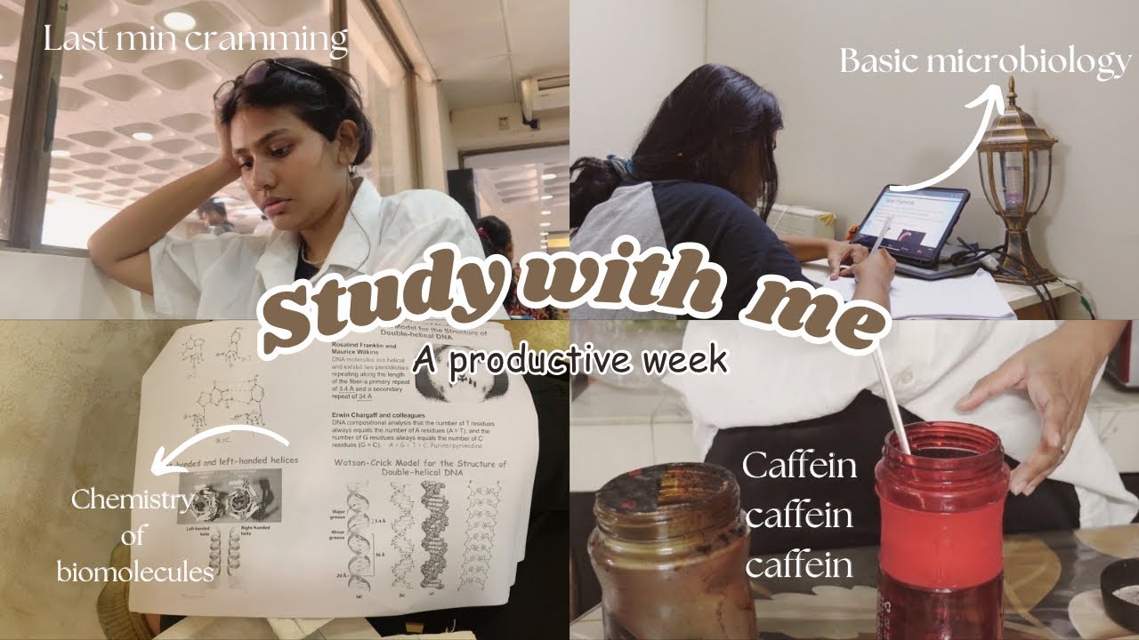 STUDY VLOG: preparing for exams,Bangla Presentations & Writing my first Research Paper🧬✨
