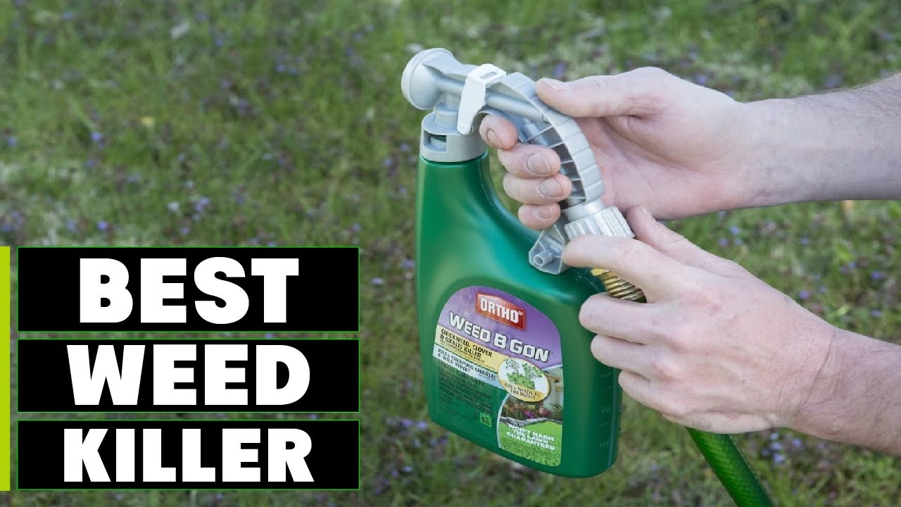 Top 10 Best Weed and Grass Killers in 2025 | The Ultimate Countdown, Reviews & Best Picks!