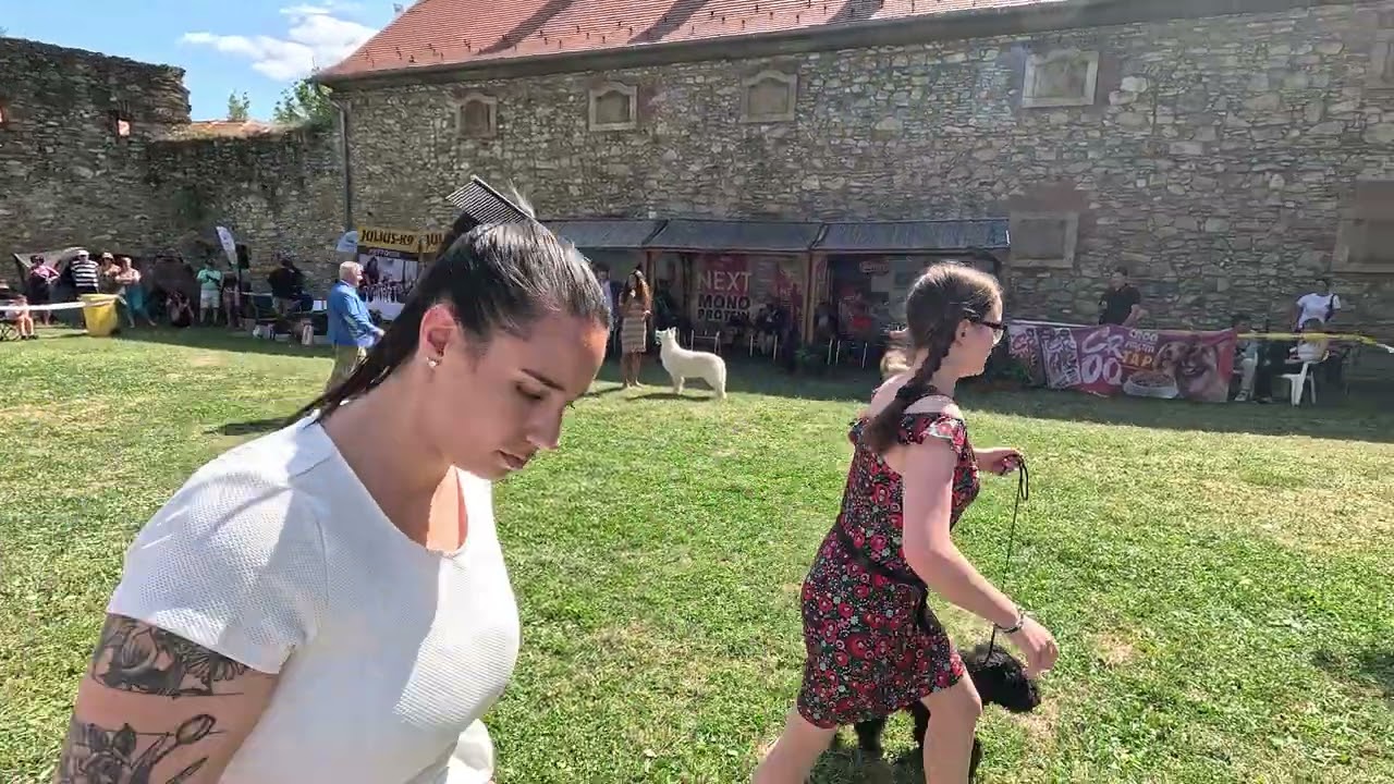 Szerencs Cac kutyakiállítás