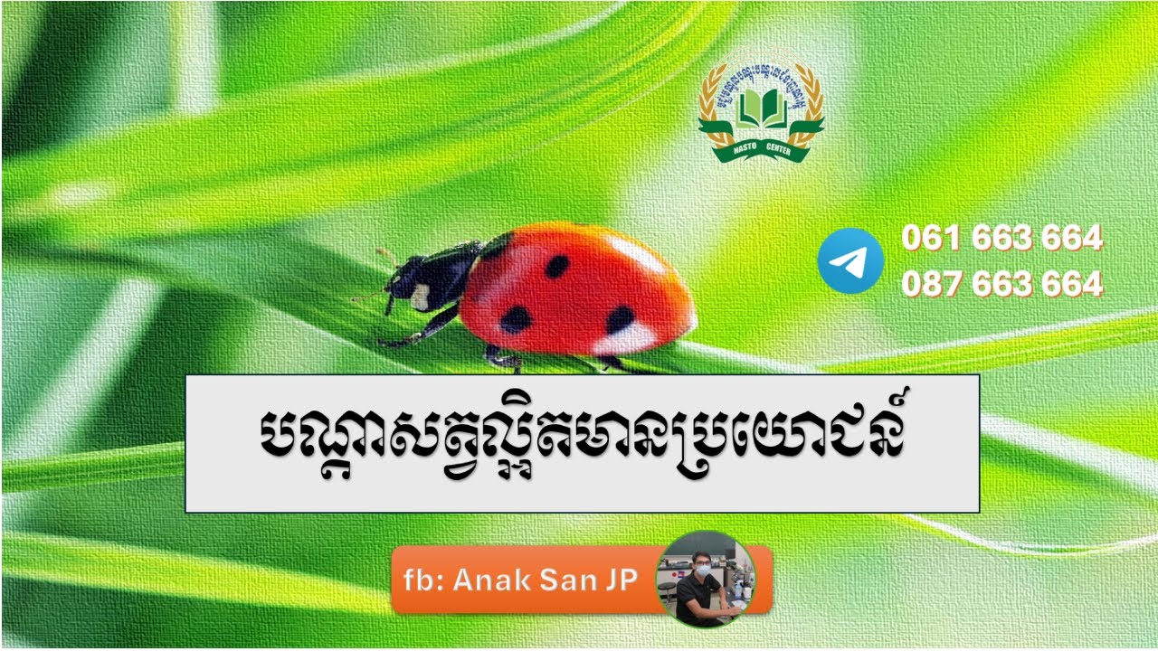 បណ្តាសត្វល្អិតមានប្រយោជន៍