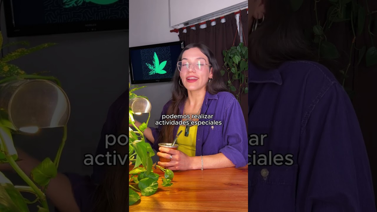 &iquest;Como funciona nuestra ONG de cannabis medicinal?