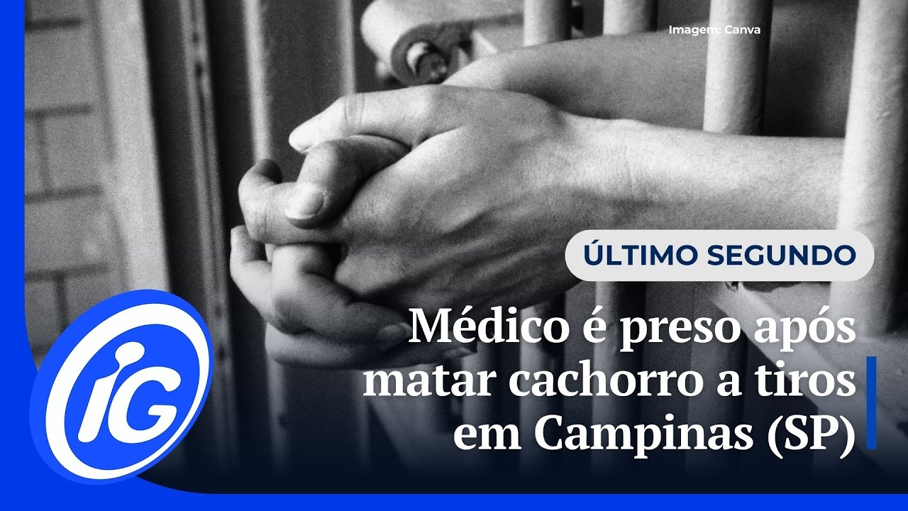 Médico é preso após matar cachorro a tiros em Campinas (SP)