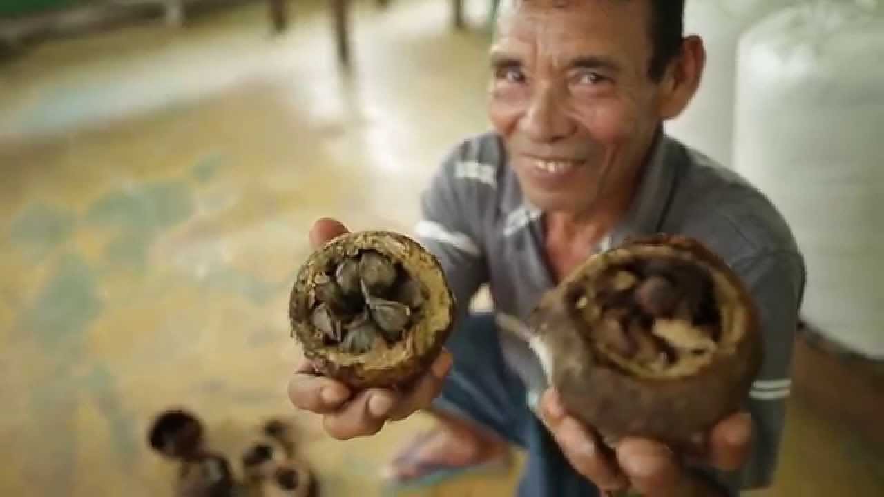 Vila Iratapuru