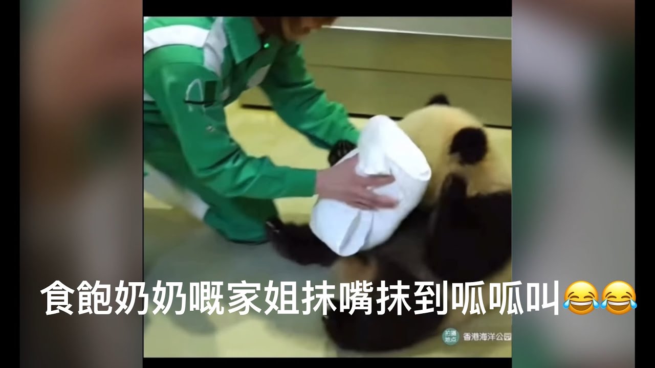 ｜家姐細佬盈盈同場｜4月22日.家姐飲盆盆奶｜Ocean Park｜香港大熊貓｜海洋公園｜遊遊蕩蕩放空記｜飲奶飲到一面都係｜抺嘴仔抺到呱呱叫｜大小姐都係唔識扮嘢｜