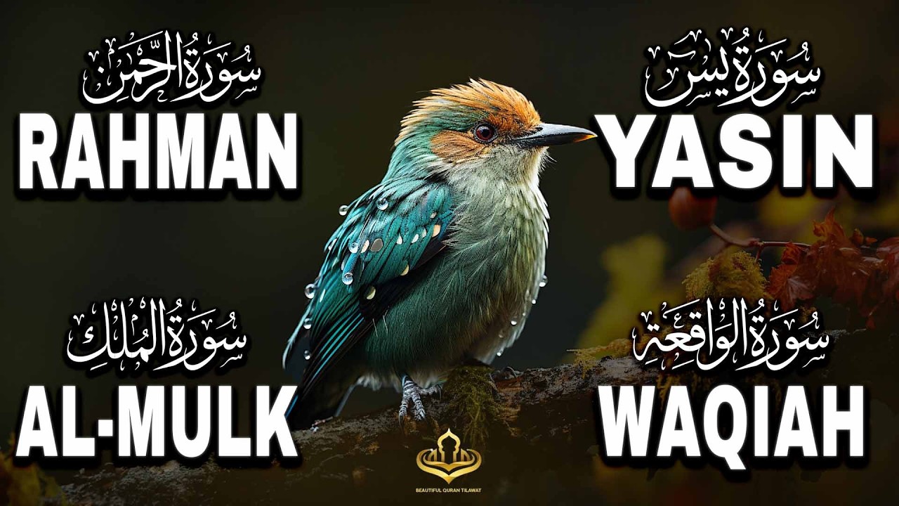 Relax Your Mind Through Quran That Soothes Hearts | Yasin, Surah Rahman, Surah Waqiah, Surah Mulk