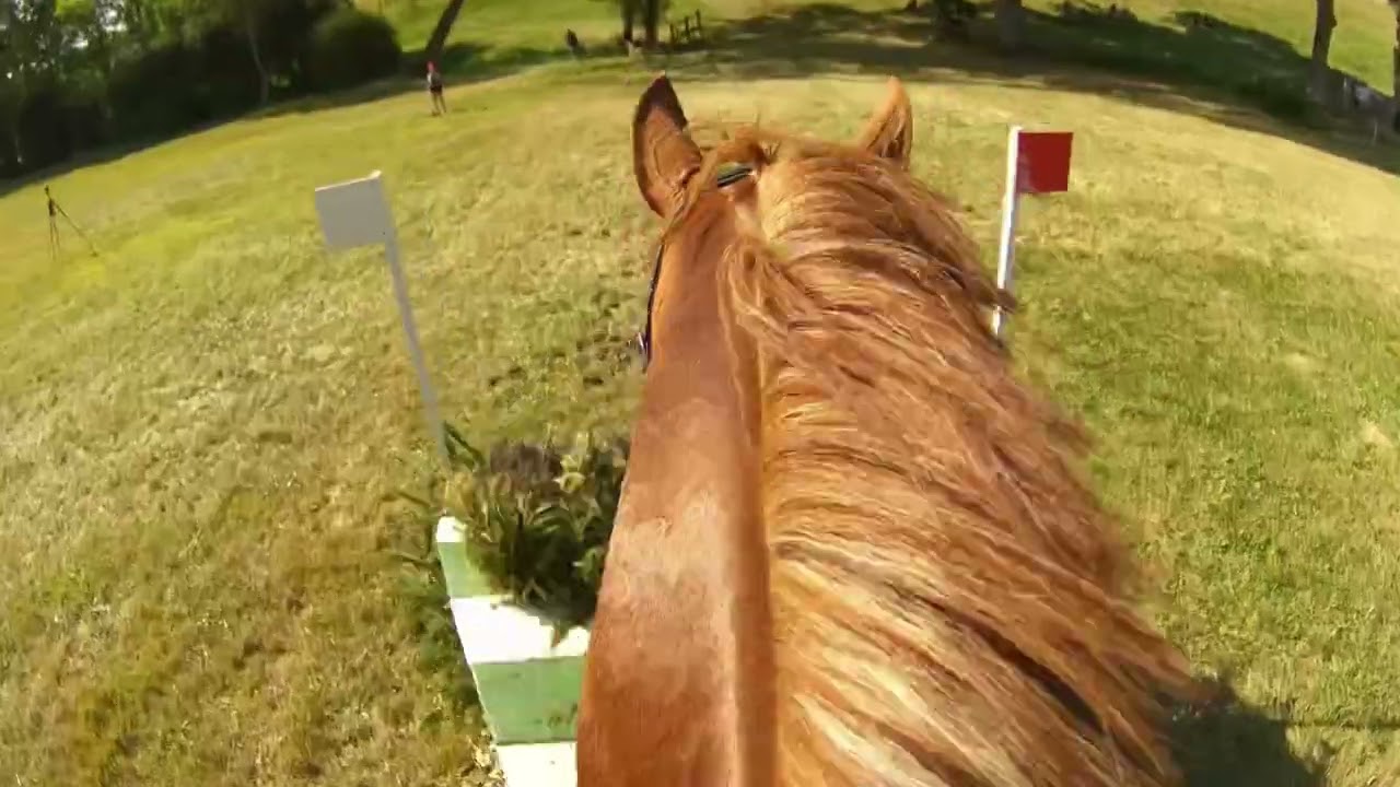 CCI4*S Nations Cup at Haras du Pin 2022 | Andrew Hoy & Vassily de Lassos