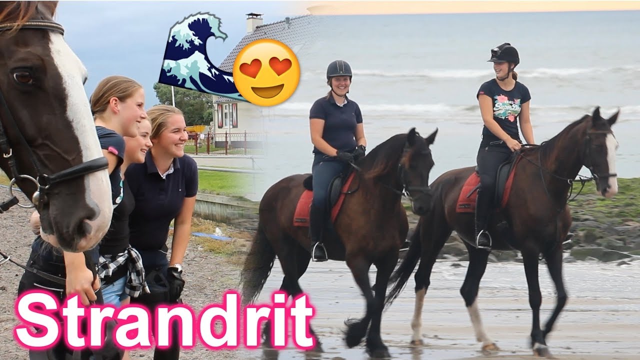 Op STRANDRIT bij manege Noot! VakantieVLOG #2   | Zaressa