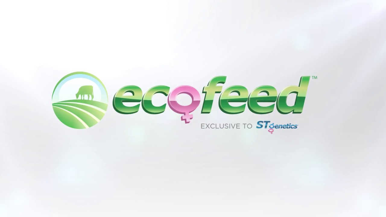 EcoFeed&trade; from STgenetics