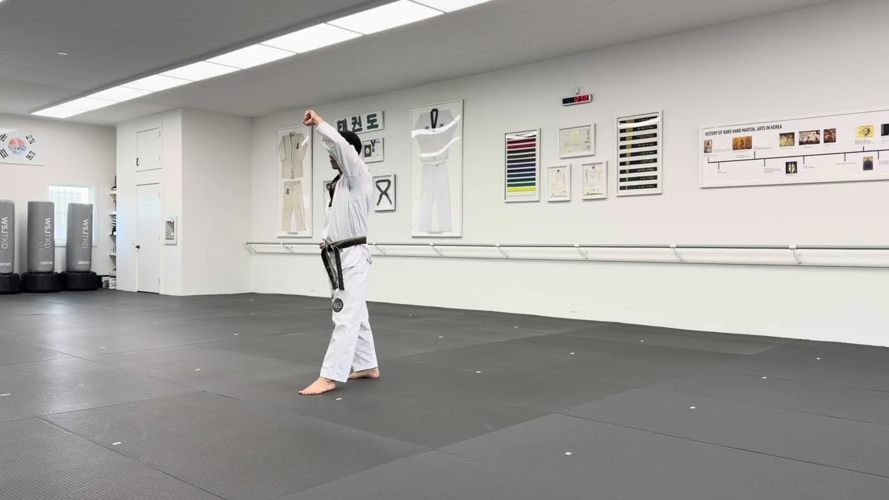 🟠🟢 Taeguek IL Jang Poomsae