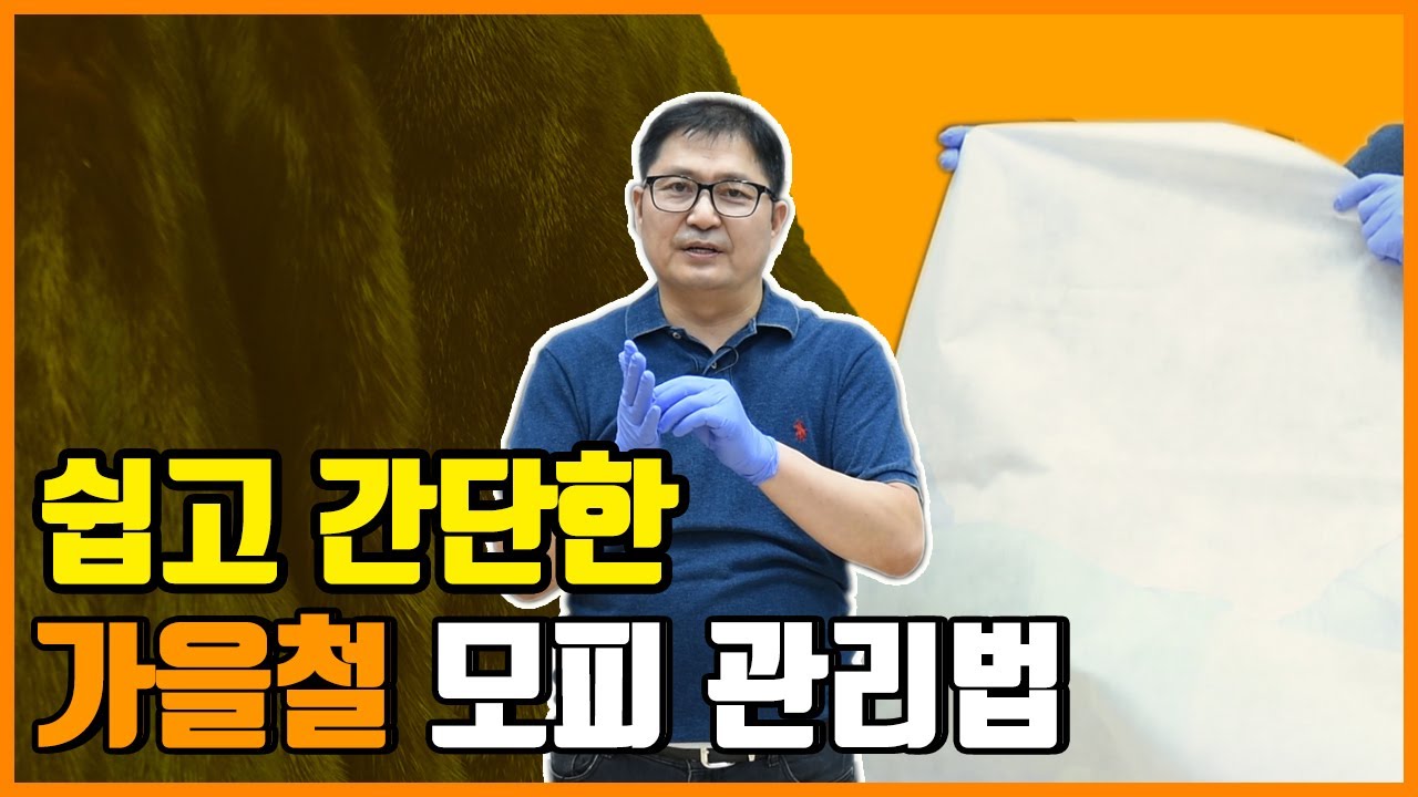 전문업체에서 알려주는 모피 관리 방법