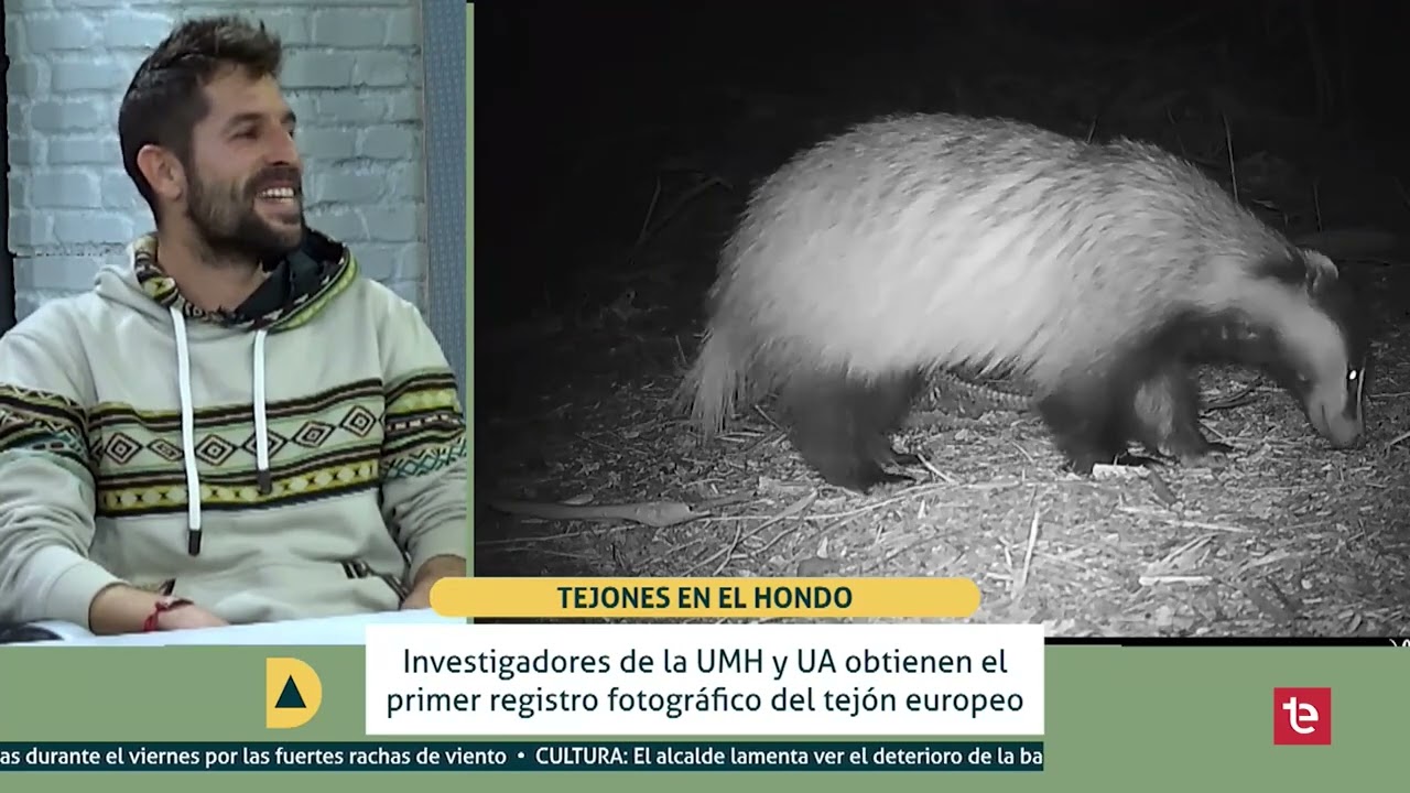 DIA A DIA | Parque el Hondo el tejón – 16/02/2026
