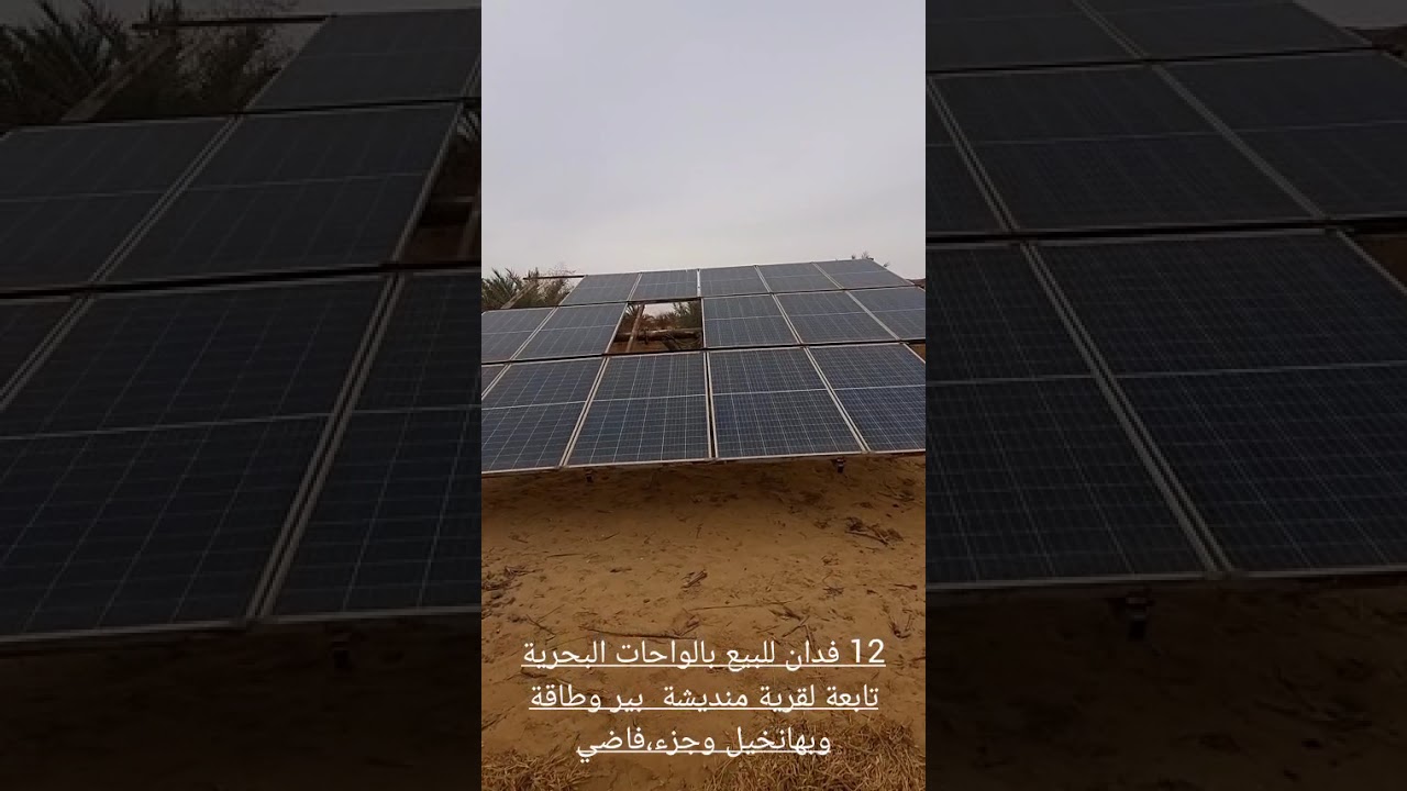 مزرعة 12فدان للبيع بالواحات البحريه  بدون استراحة وليس لها ملف تقنين  ارض رملية مشتركة مع بير وطاقة 