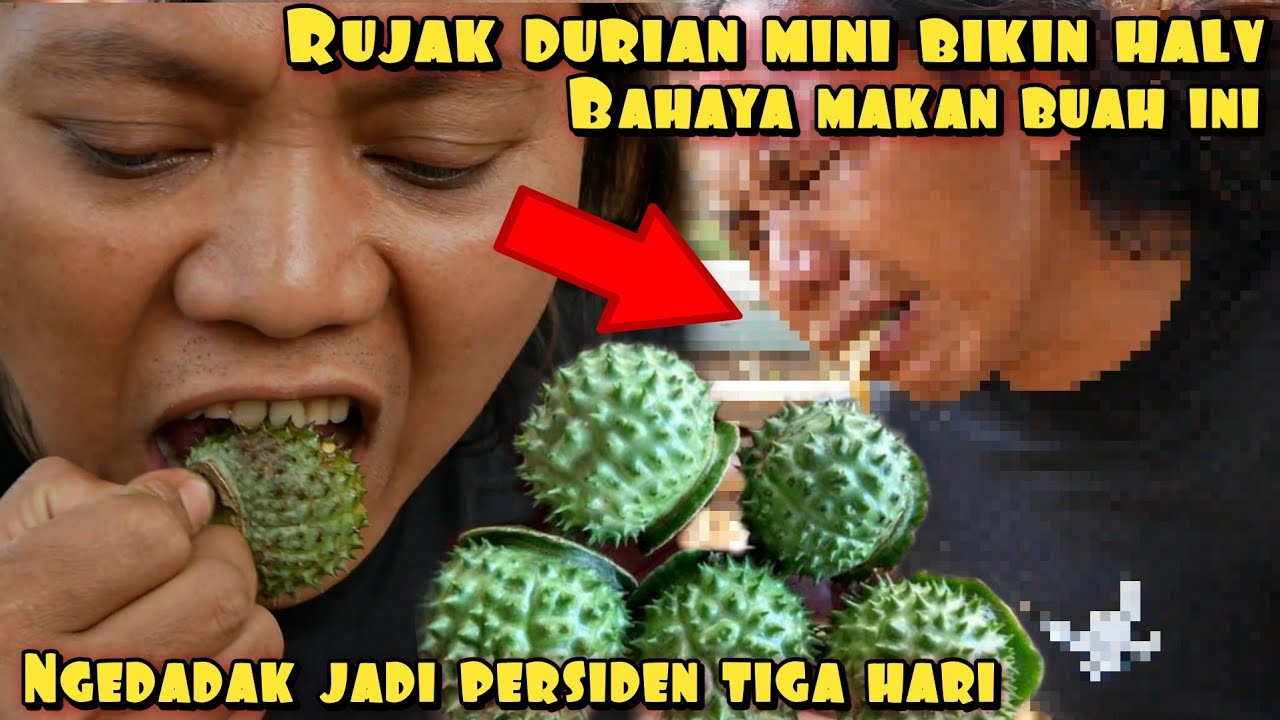 GAW4T RUJAK DURIAN MINI BIKIN HALV 3 HARI