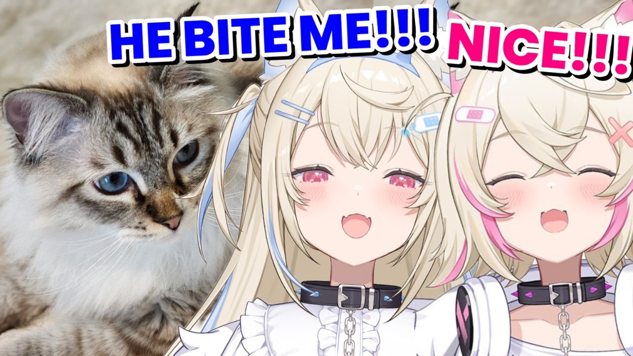 FuwaMoco's unique way of playing with cats [Hololive/FuwaMoco]