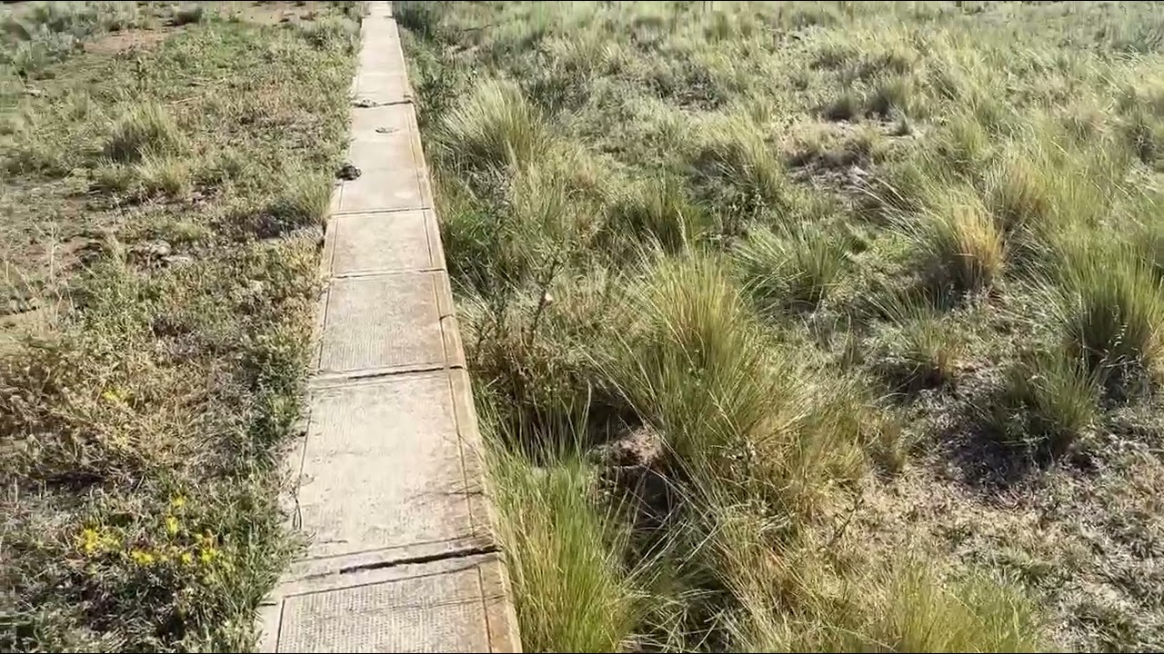 Estacion El Zorro Ferrocarril Roca Vigecimo Primer Capítulo 